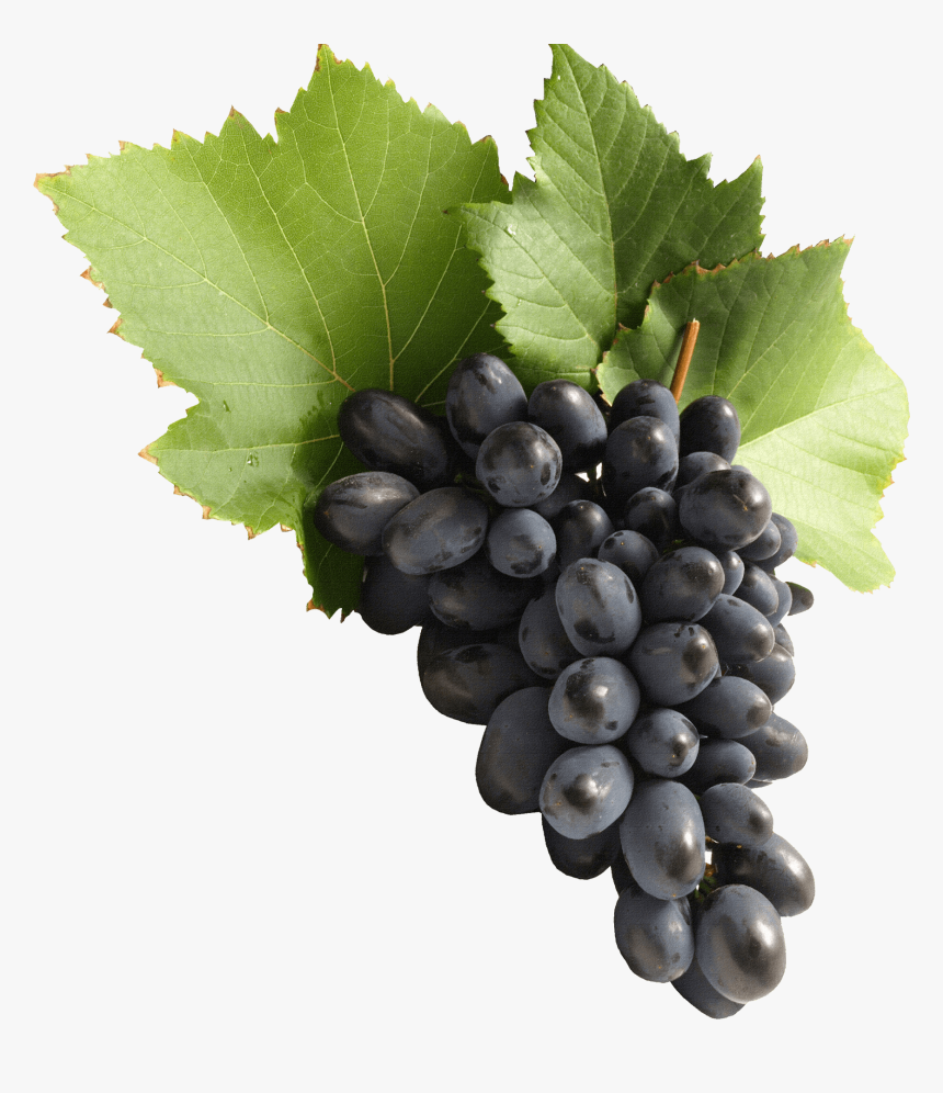 Grapes Png, Transparent Png, Free Download