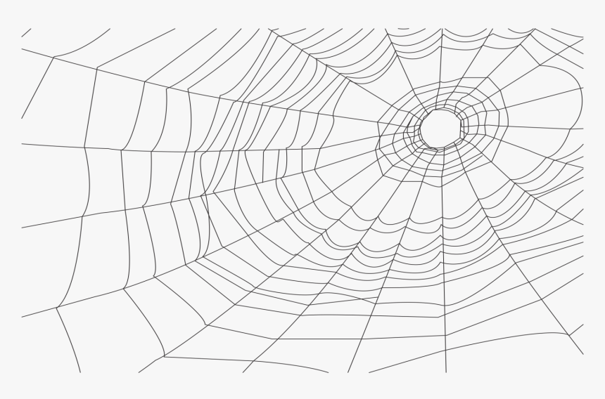 Cobweb Illustration , Png Download - Transparent Pictures Spider Webs, Png Download, Free Download