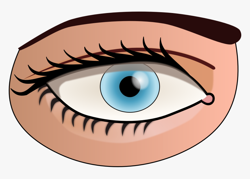 Parts Of The Body Eye, HD Png Download, Free Download