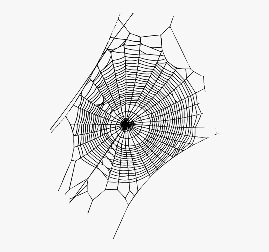 Transparent Cobwebs Png - Sfondo Trasparente Ragnatela Png, Png Download, Free Download