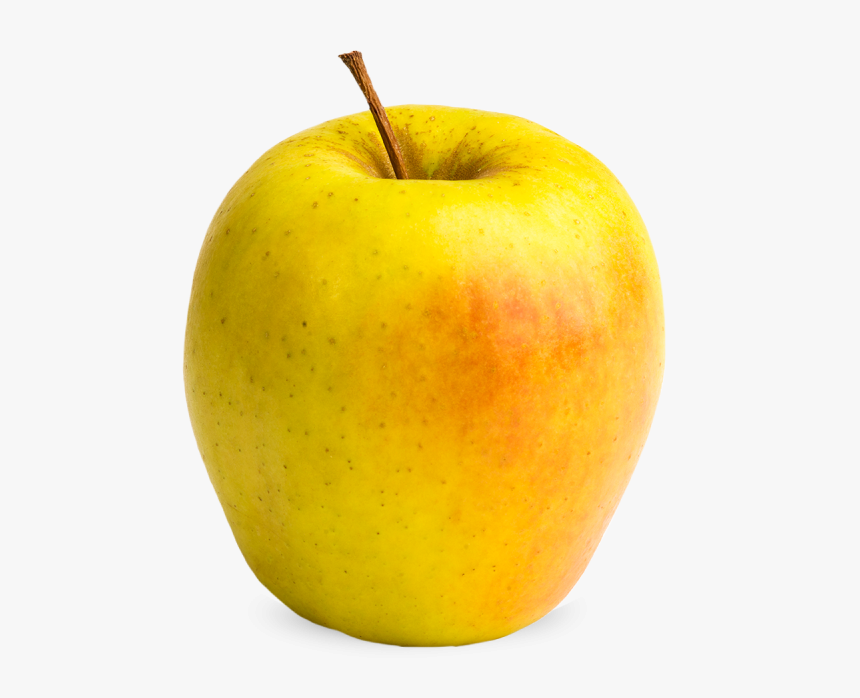 Apple Holler Gingergold Apple - Granny Smith, HD Png Download, Free Download