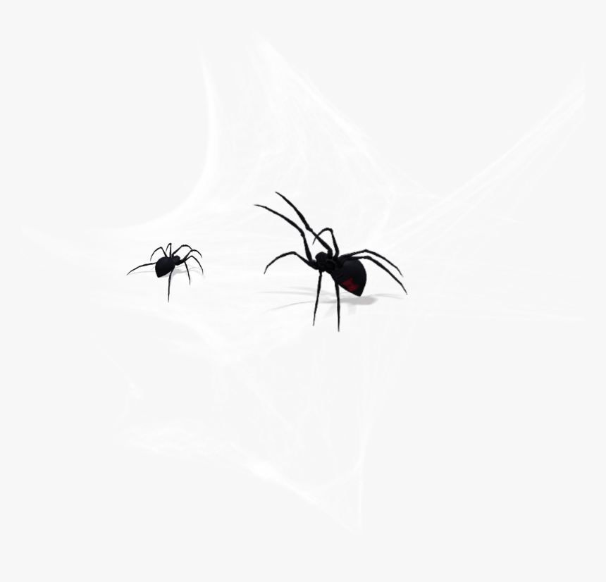 #cobweb #spider - Black Widow, HD Png Download, Free Download