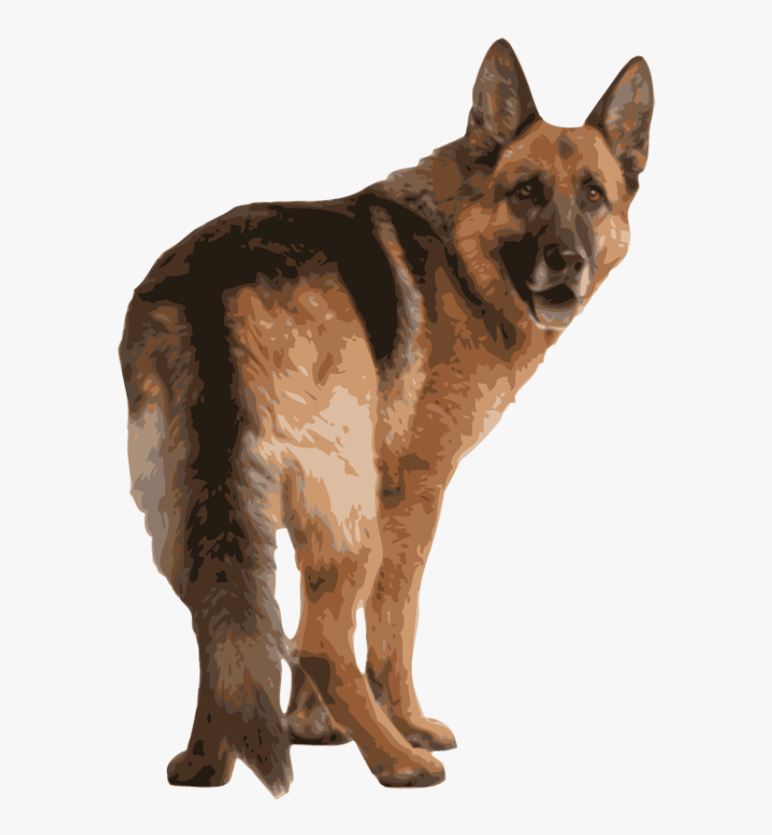 Image - German Shepherd Back Side, HD Png Download, Free Download