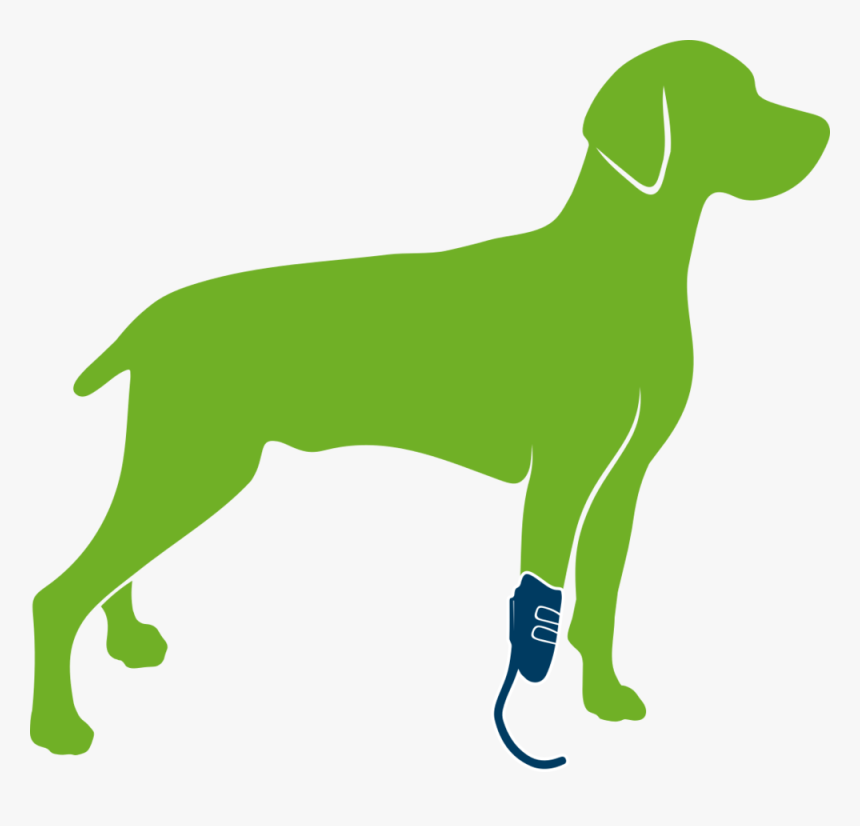 Dog With Prosthesis Only, HD Png Download, Free Download