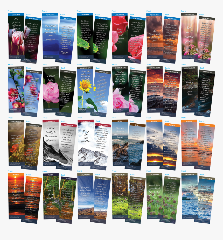 Collage, HD Png Download, Free Download