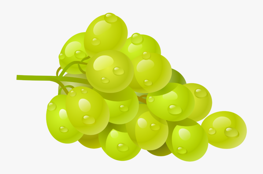 Grape Vine Border Png, Transparent Png, Free Download