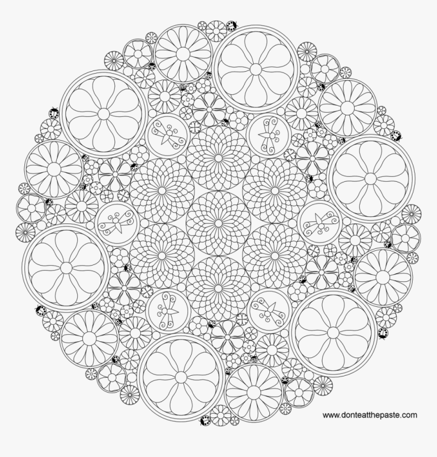 Adult Colouring - Cool Things To Colour, HD Png Download, Free Download