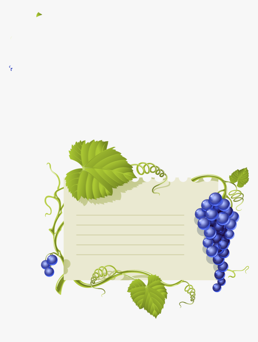 Transparent Grape Vine Clipart - Grapes Leaves Vector, HD Png Download, Free Download