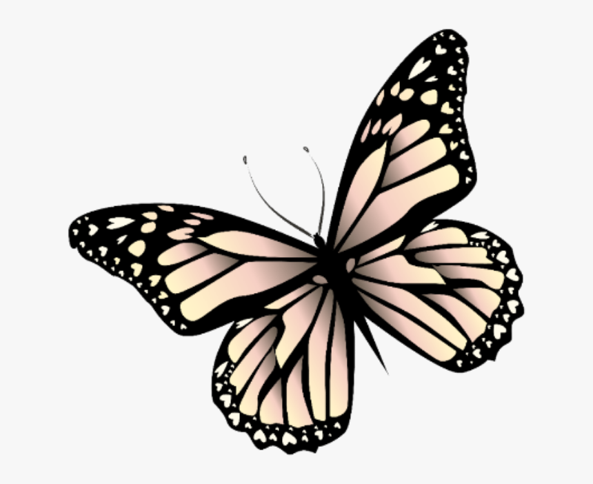 Transparent Mariposa Clipart - Monarch Butterfly Sticker Pink, HD Png Download, Free Download