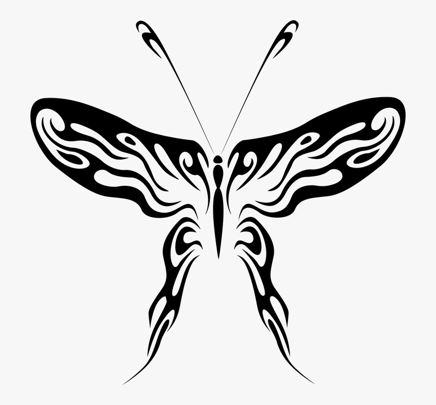 Butterfly Drawings Black And White 27, Buy Clip Art - Drawing Of Native American Butterfly, HD Png Download, Free Download