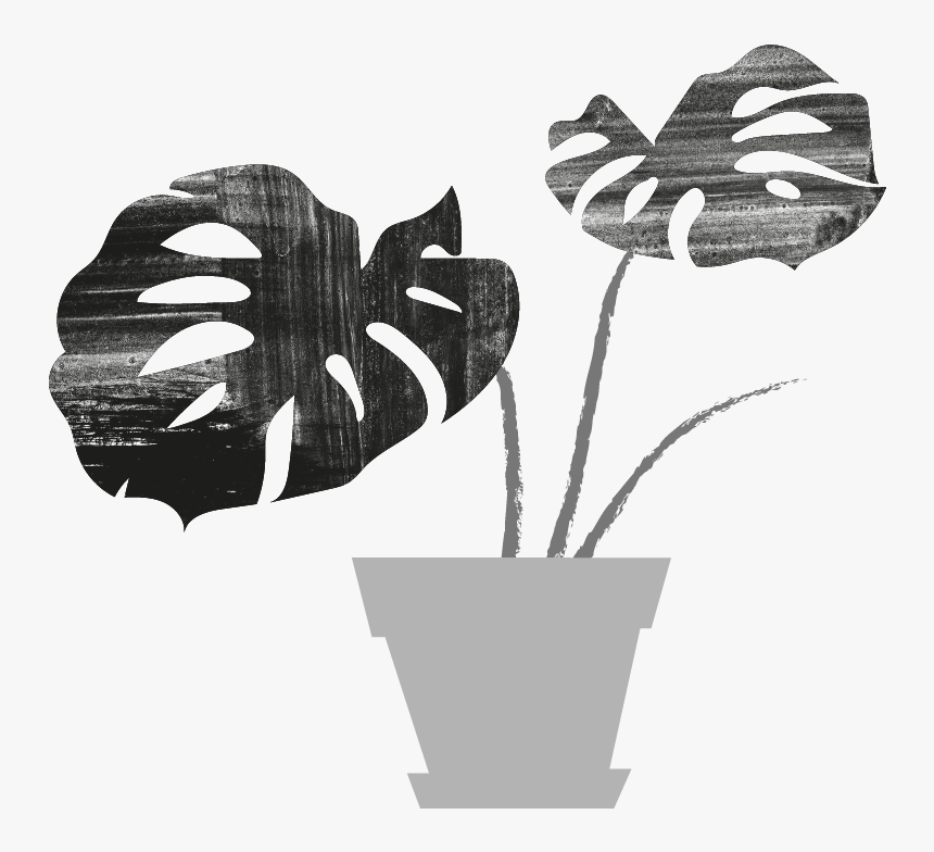 Transparent Monstera Png - Flowerpot, Png Download, Free Download