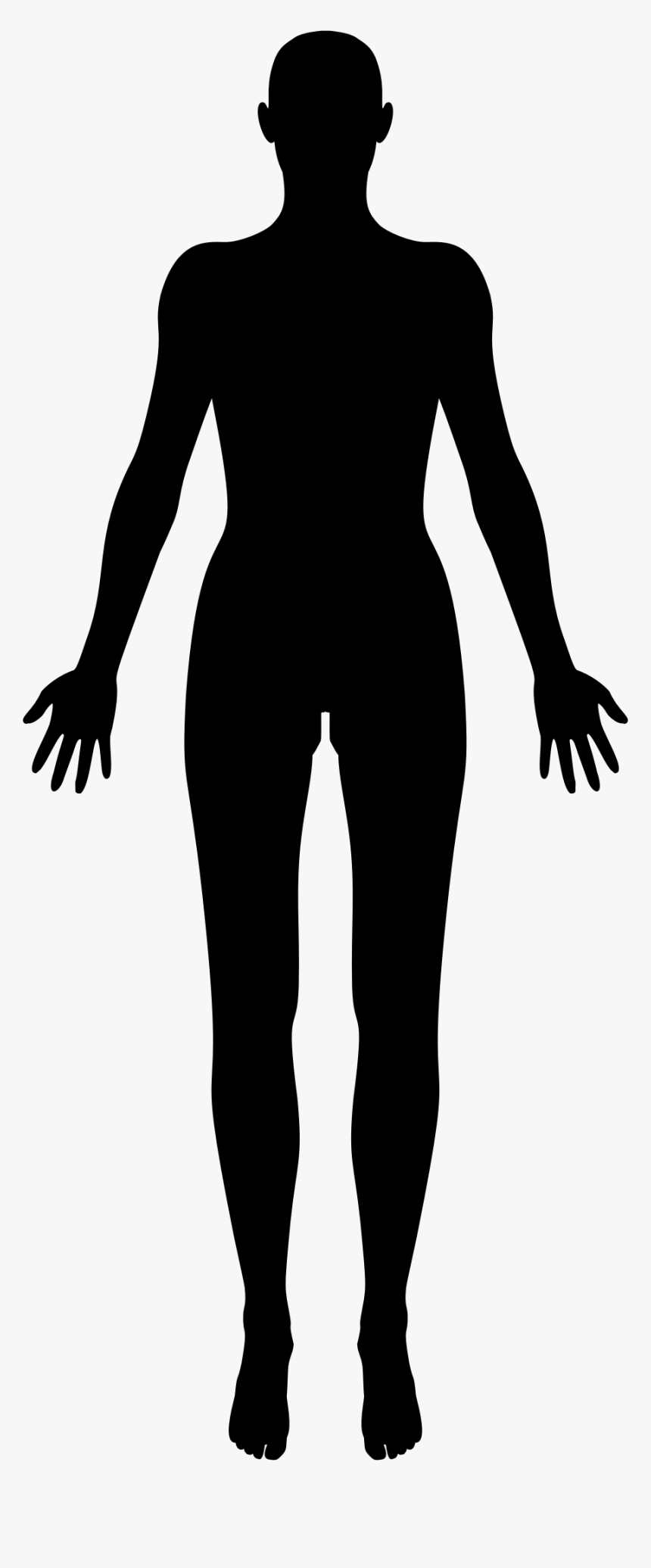 Female Body Shape Human Body Silhouette Clip Art - Female Human Body Silhouette, HD Png Download, Free Download