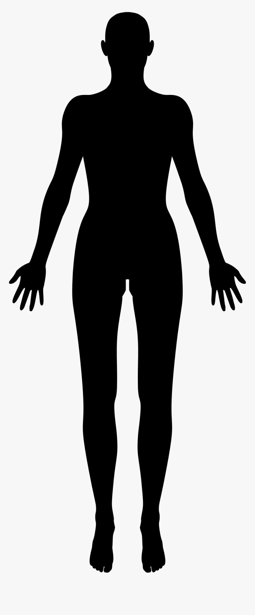 Female Body Shape Human Body Silhouette Clip Art Female Human Body