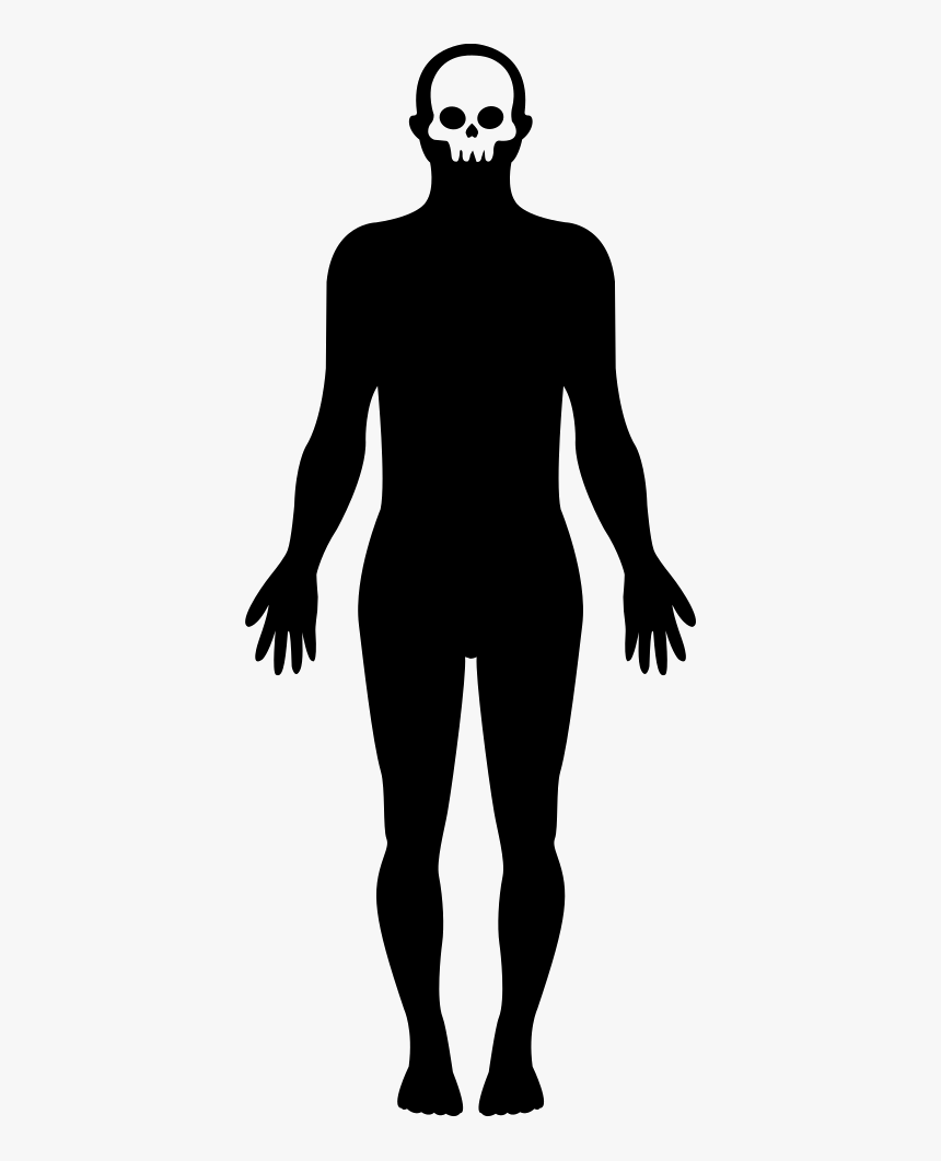 Standing Human Body Shape - Human Body Shape Png, Transparent Png, Free Download