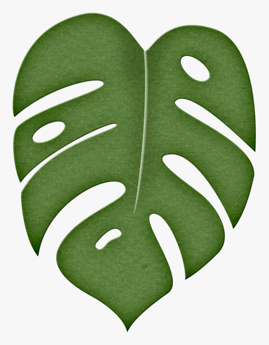 Leaves Clipart Green Tropical - Clipart Jungle Leaf, HD Png Download, Free Download