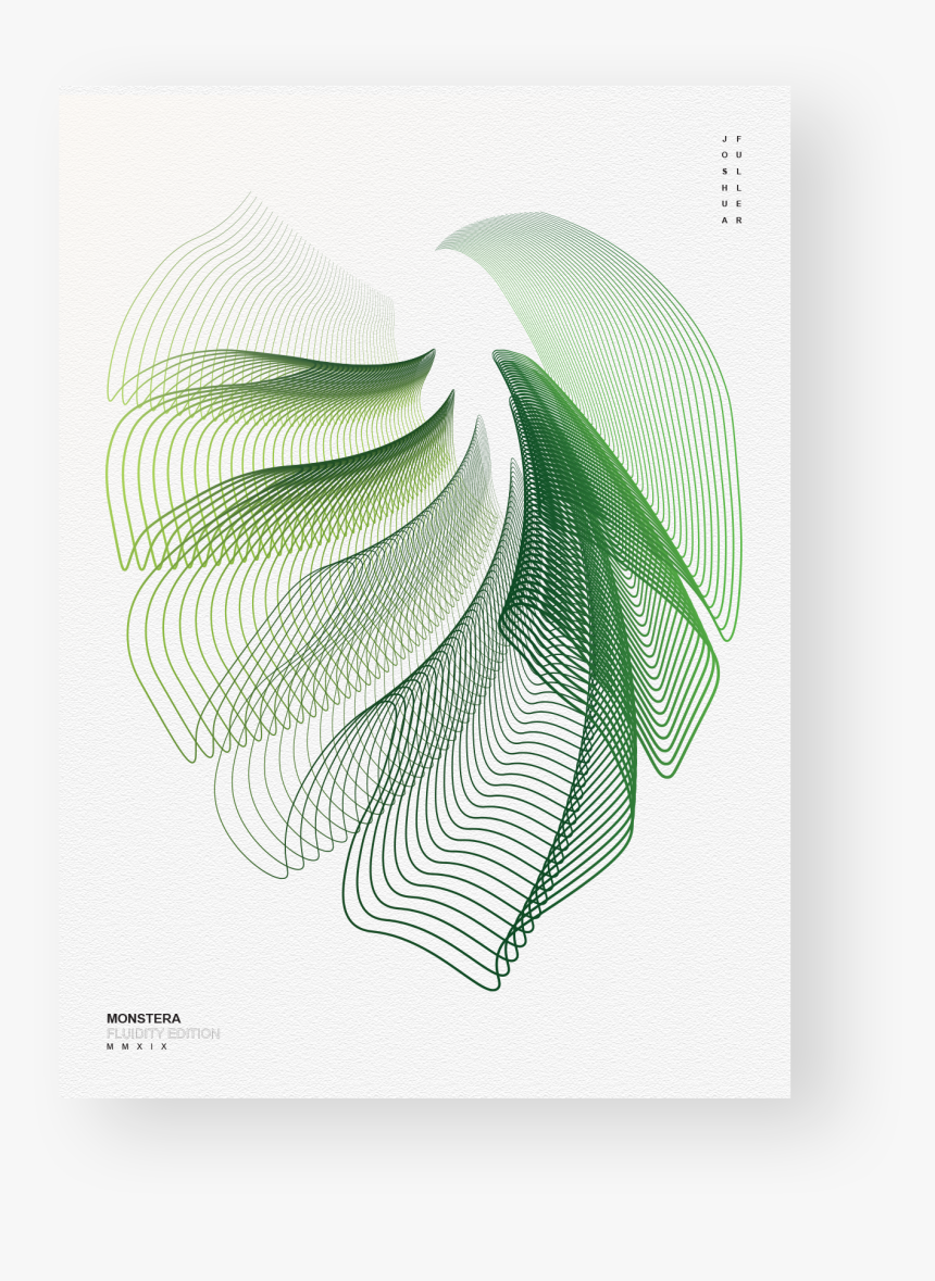 Web Template Monstera - Illustration, HD Png Download, Free Download
