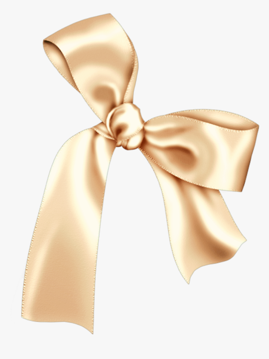 Transparent Silk Ribbon Png - Present, Png Download, Free Download