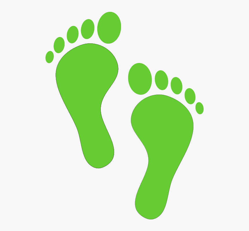 Transparent Cougar Clip Art - Footprint Clipart, HD Png Download, Free Download