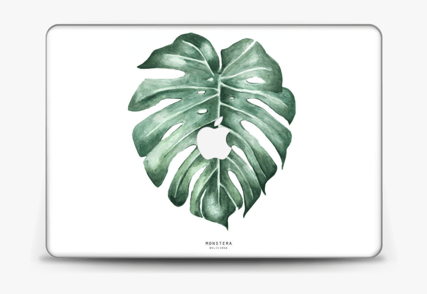 Monstera Deliciosa Skin Macbook Pro Retina 15” - Kunstdruck Pflanzen, HD Png Download, Free Download