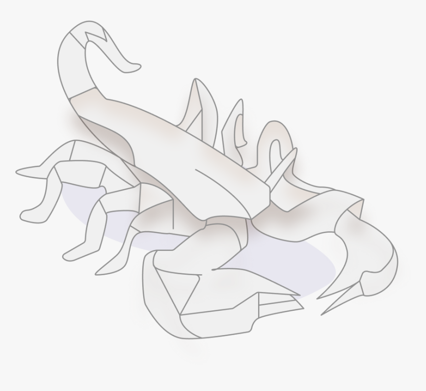 Transparent Wild Animals Png - Illustration, Png Download, Free Download