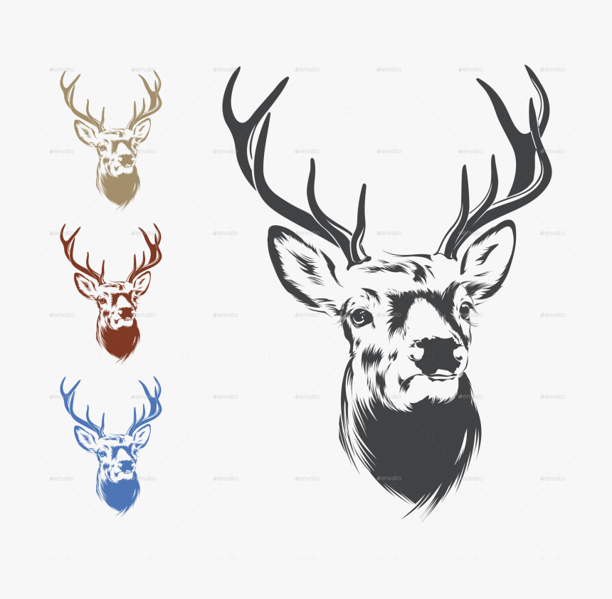 Deer Head Drawing Png, Transparent Png, Free Download