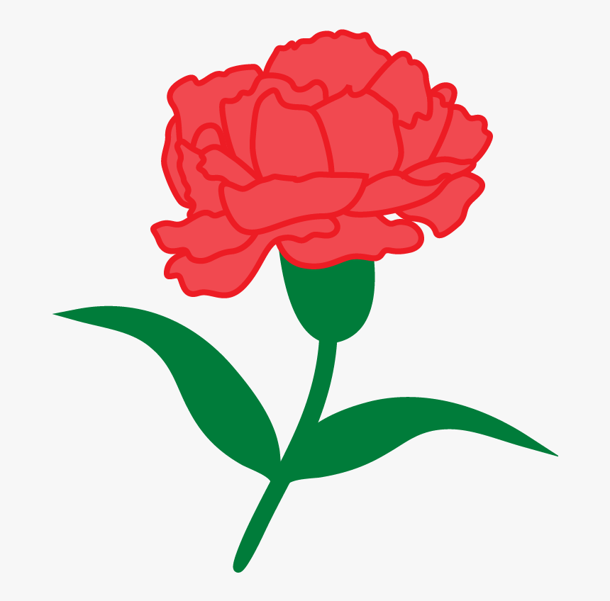 Sos Carnation 2017-01 - Phi Alpha Delta Red Carnation, HD Png Download, Free Download