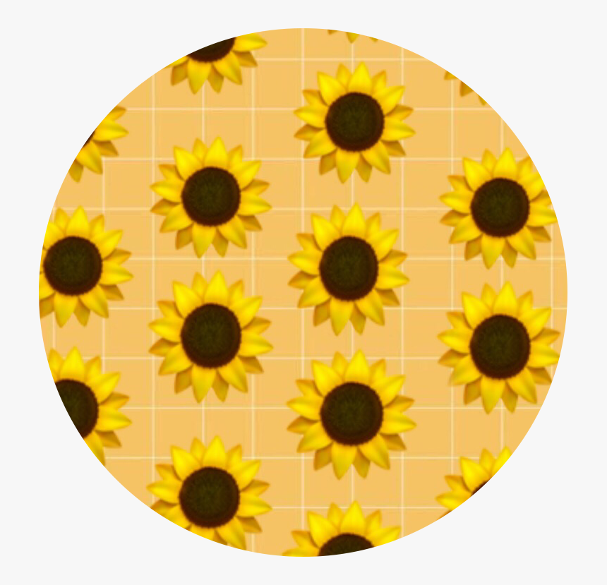✨

#checkerboard #aesthetic #pattern #background #yellow - Vsco Sunflower, HD Png Download, Free Download