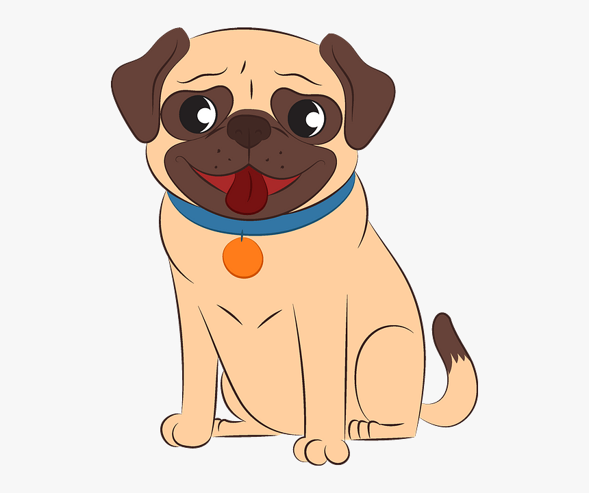 Pug, HD Png Download, Free Download