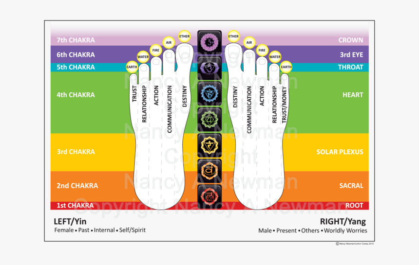 Toe Reading Chart, HD Png Download, Free Download