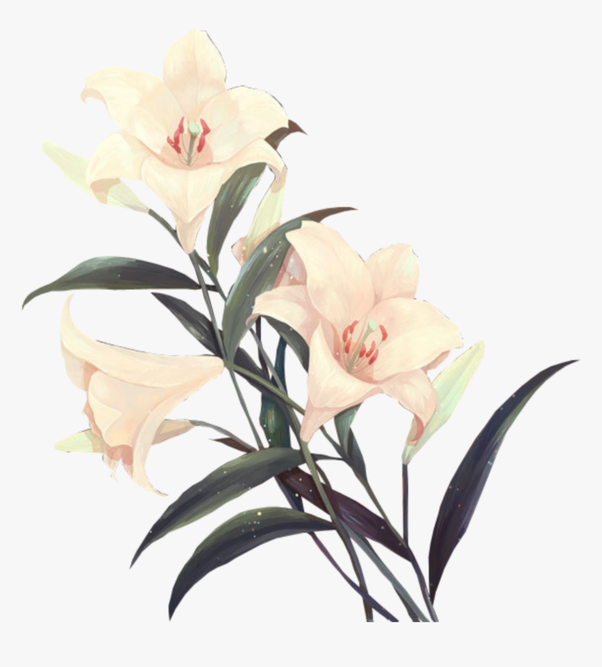 Flower Png I Used Most On My Edits - Aesthetic Flower Png, Transparent Png, Free Download