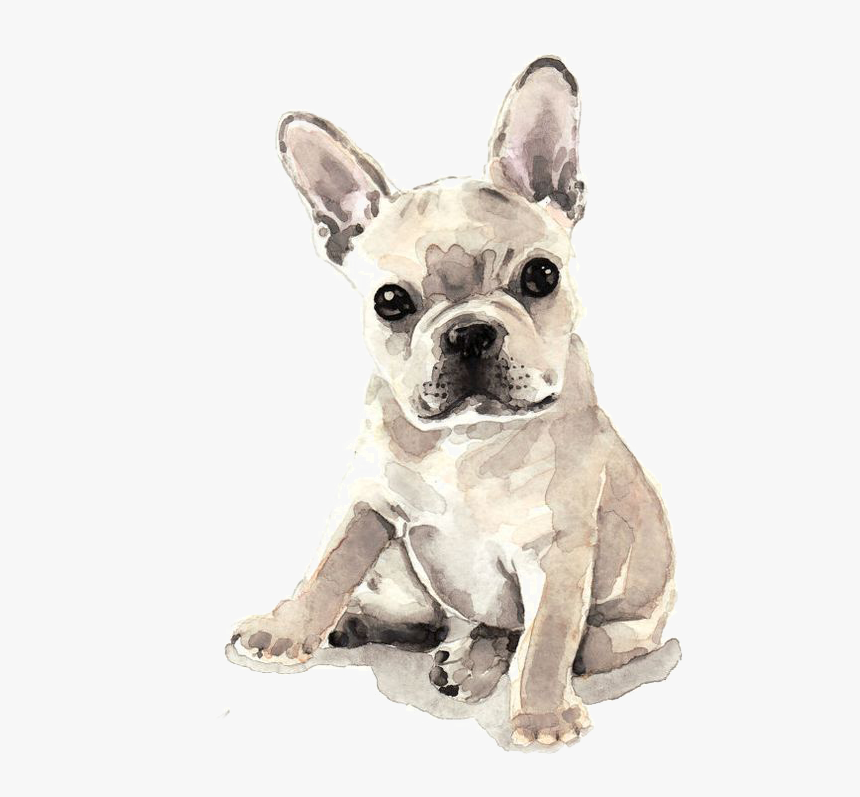 French Bulldog Watercolor Painting, HD Png Download, Free Download