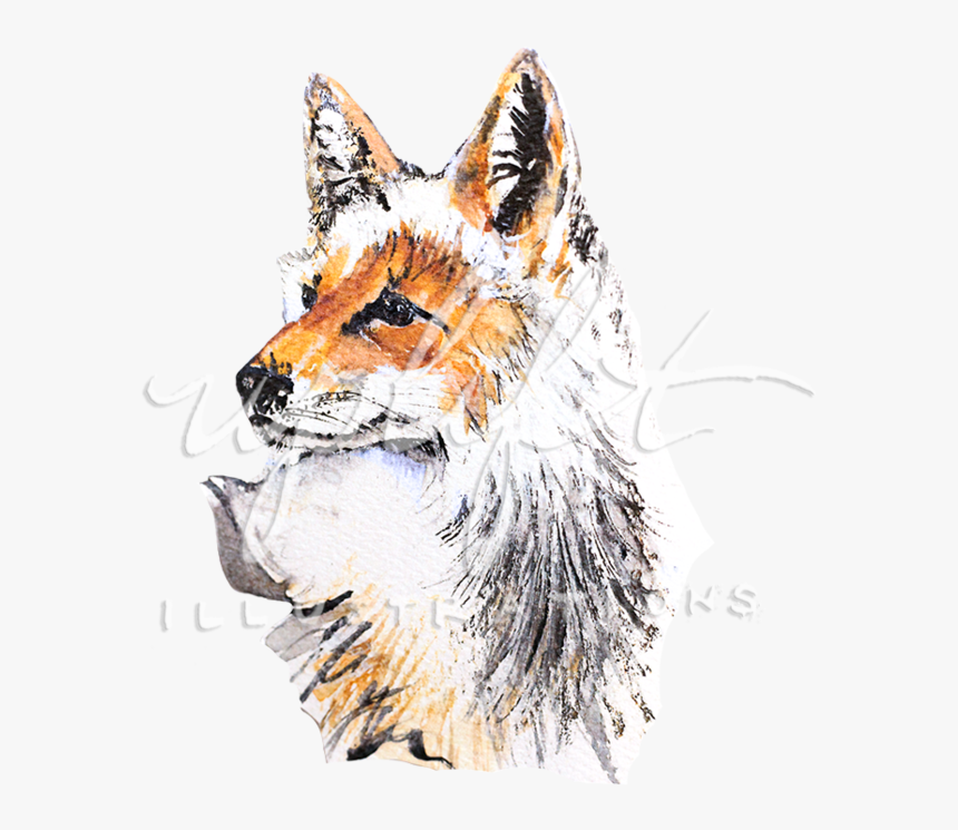 Fox - Illustration, HD Png Download, Free Download