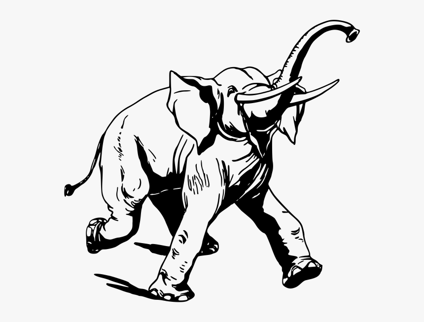 Bw-elephant - Clip Art Line Drawing, HD Png Download, Free Download