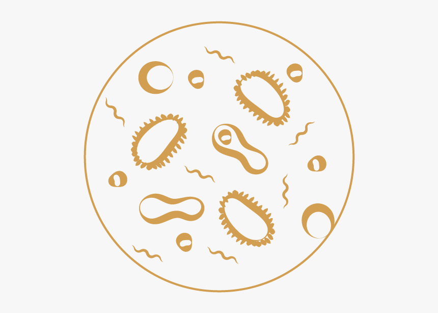 Infectious Disease - Circle, HD Png Download, Free Download