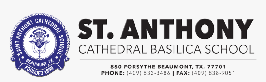 Anthony Cathedral Basilica School - Black-and-white, HD Png Download, Free Download