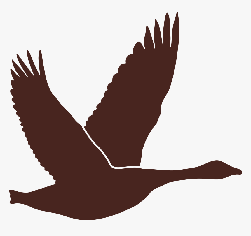 Bear Brown Silhouette Of A Canadian Goose Clipart , - Silhouette Of Canadian Goose, HD Png Download, Free Download