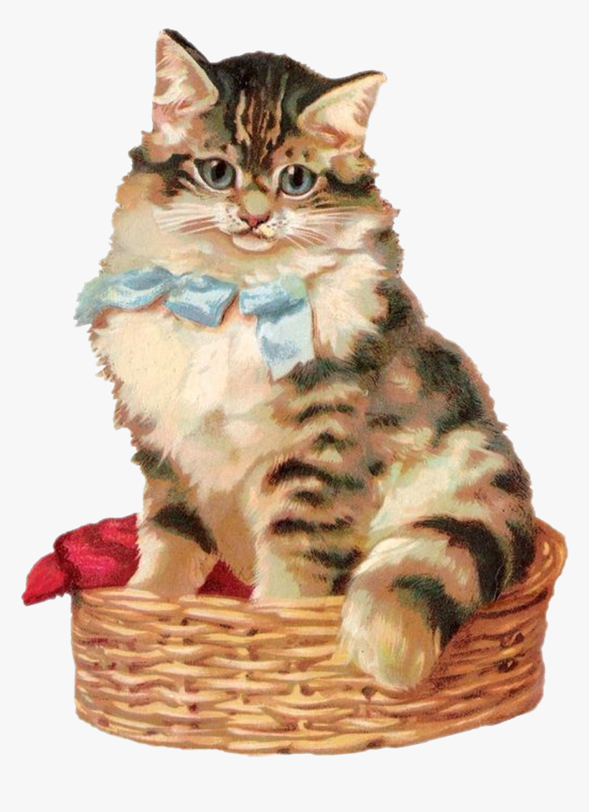 Cat In A Basket - Dragon Li, HD Png Download, Free Download