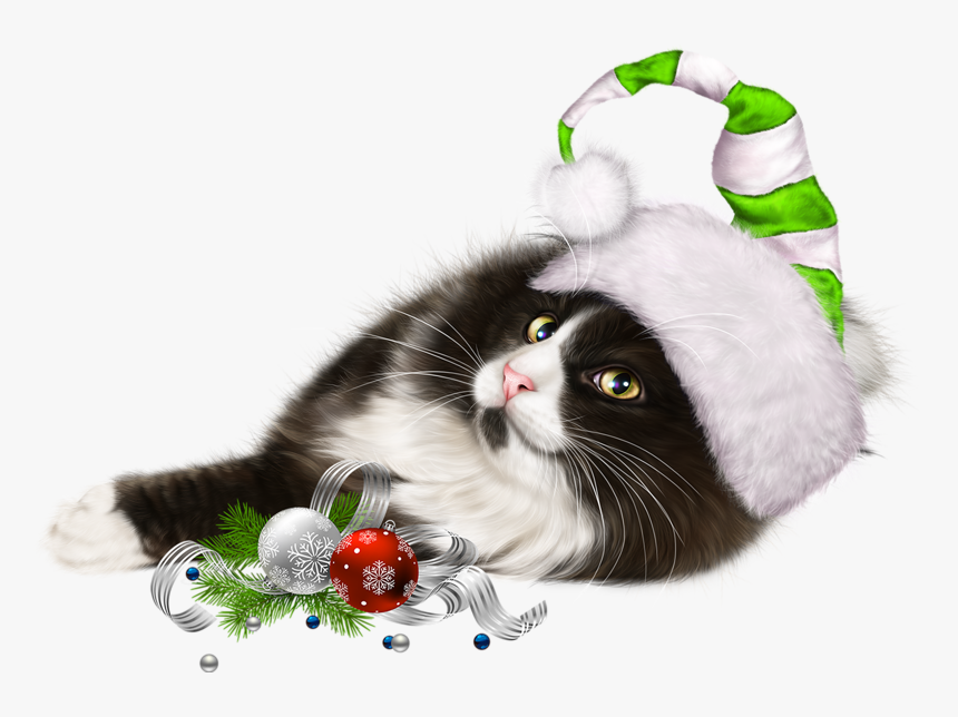 Christmas Kitten Png Christmas Picture Freeuse Library - Cat, Transparent Png, Free Download
