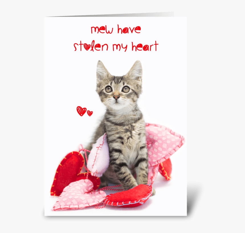 Valentine Kitten Png - Cat Grabs Treat, Transparent Png, Free Download