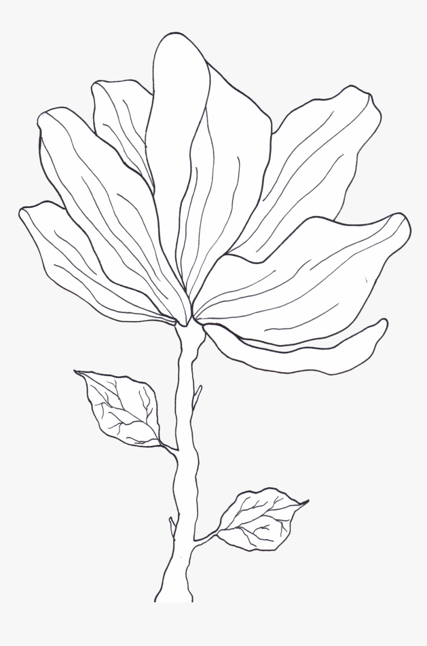 Flower 1 Copy, HD Png Download, Free Download