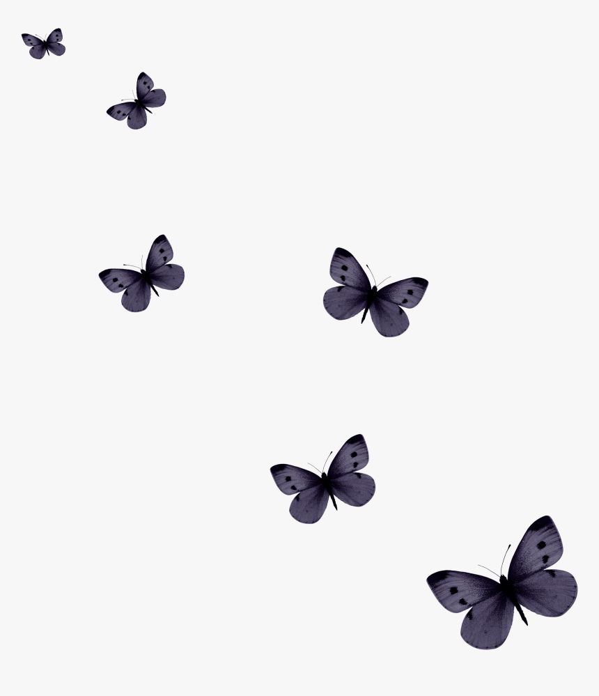 Butterfly Computer Icons - Butterfly Pattern Png, Transparent Png, Free Download