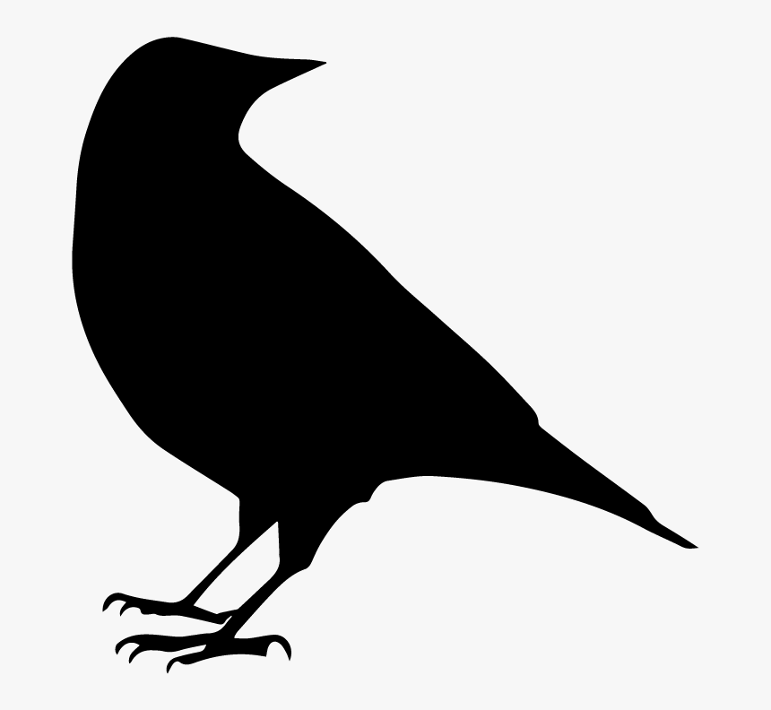 Swallow, HD Png Download, Free Download