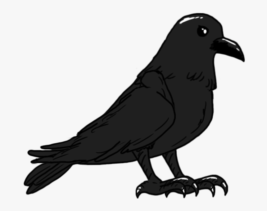 Transparent Flying Crows Png - American Crow, Png Download, Free Download