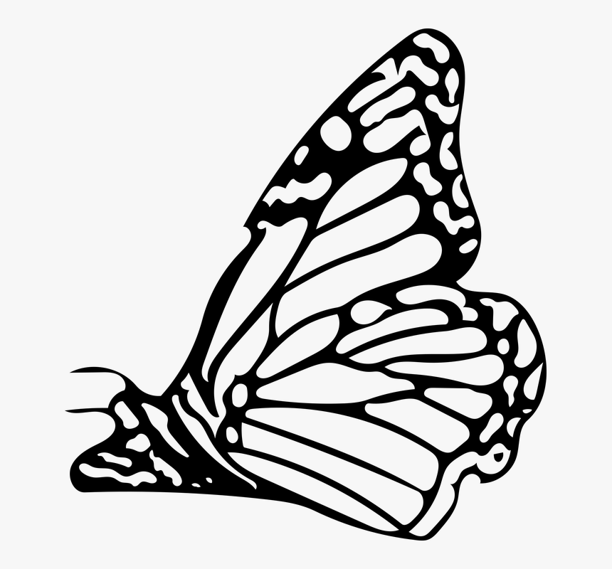 Papilio Machaon, HD Png Download, Free Download