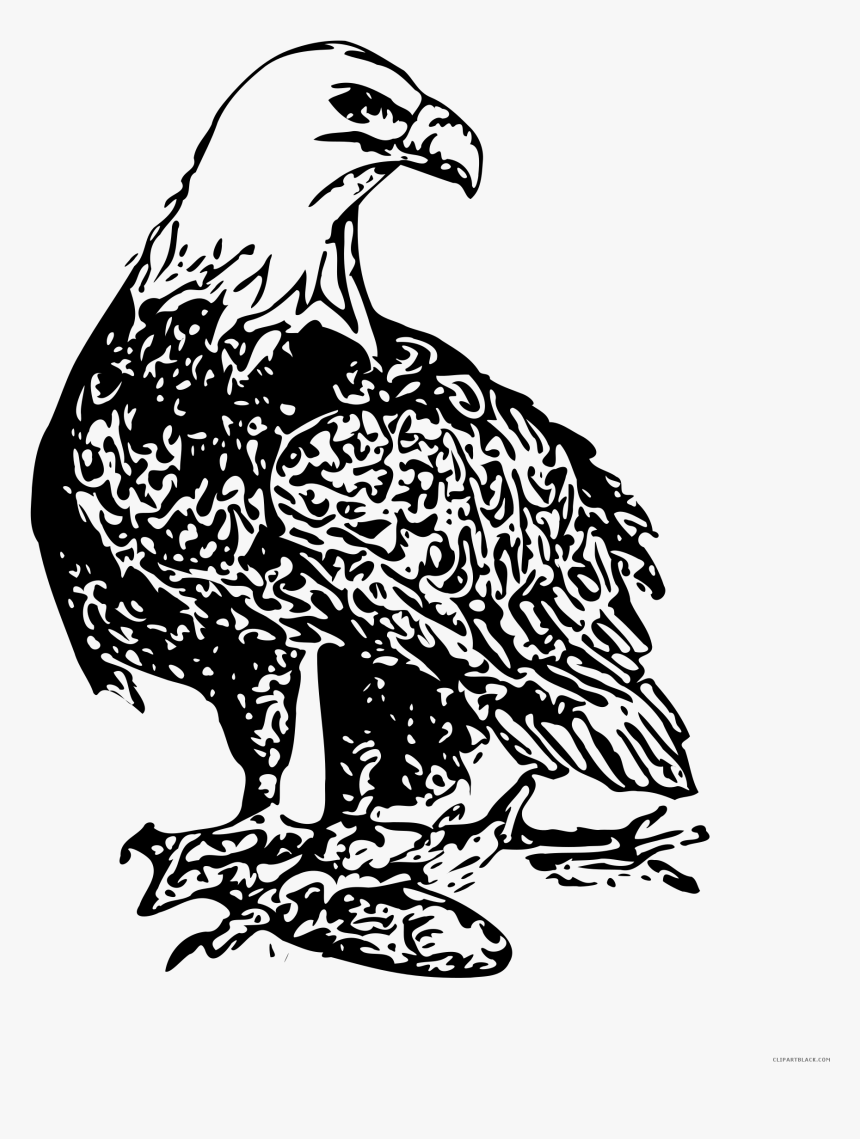 Transparent Bald Eagle Flying Png - Background Is Black And White Png, Png Download, Free Download