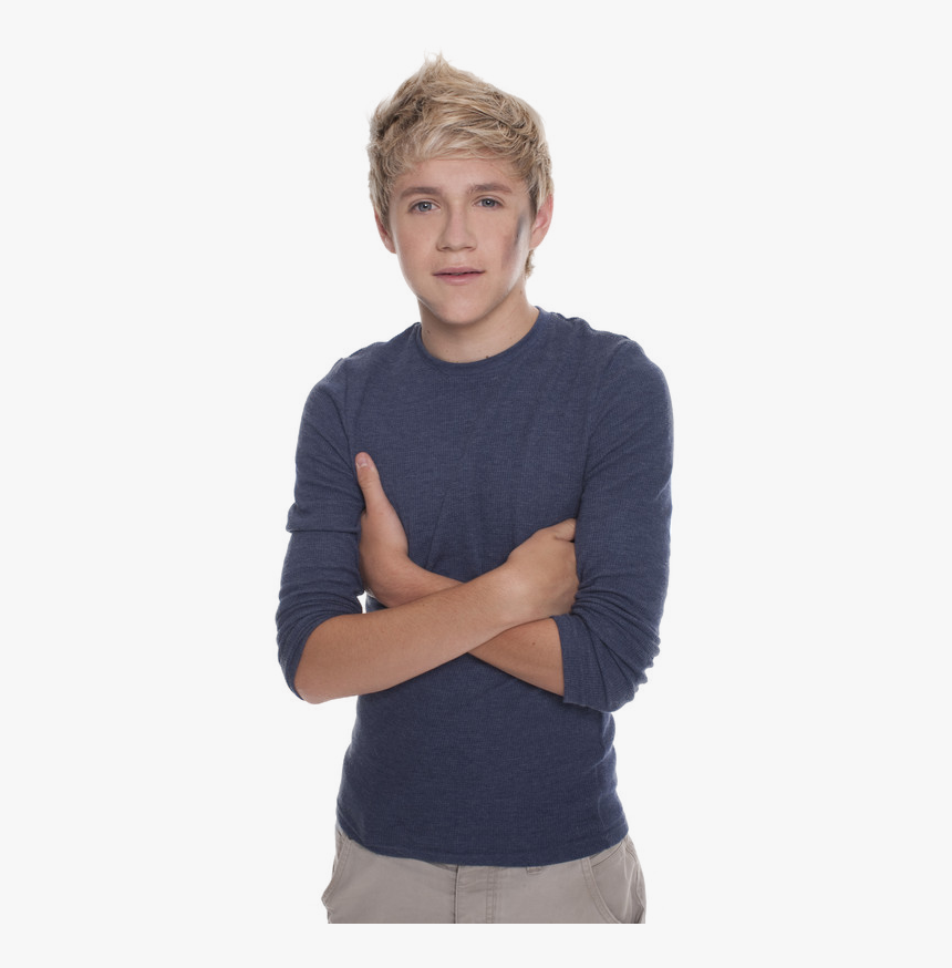Harry Styles Full Body Png, Transparent Png, Free Download