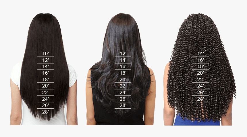 Hair Size Chart, HD Png Download, Free Download