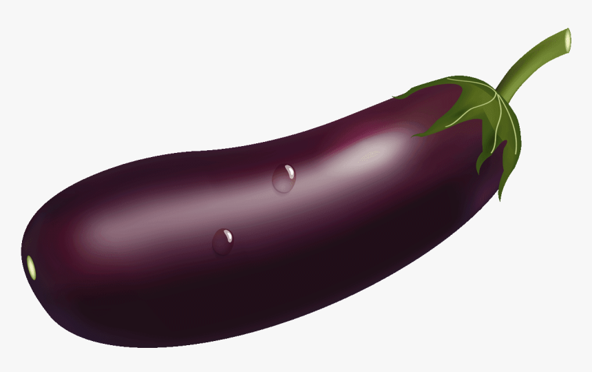 Tomato Clipart Eggplant Plant - Eggplant, HD Png Download, Free Download