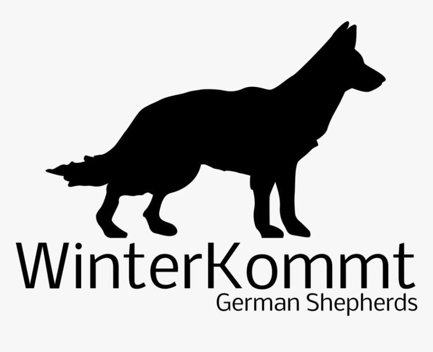 German Shepherd Puppy Png, Transparent Png, Free Download