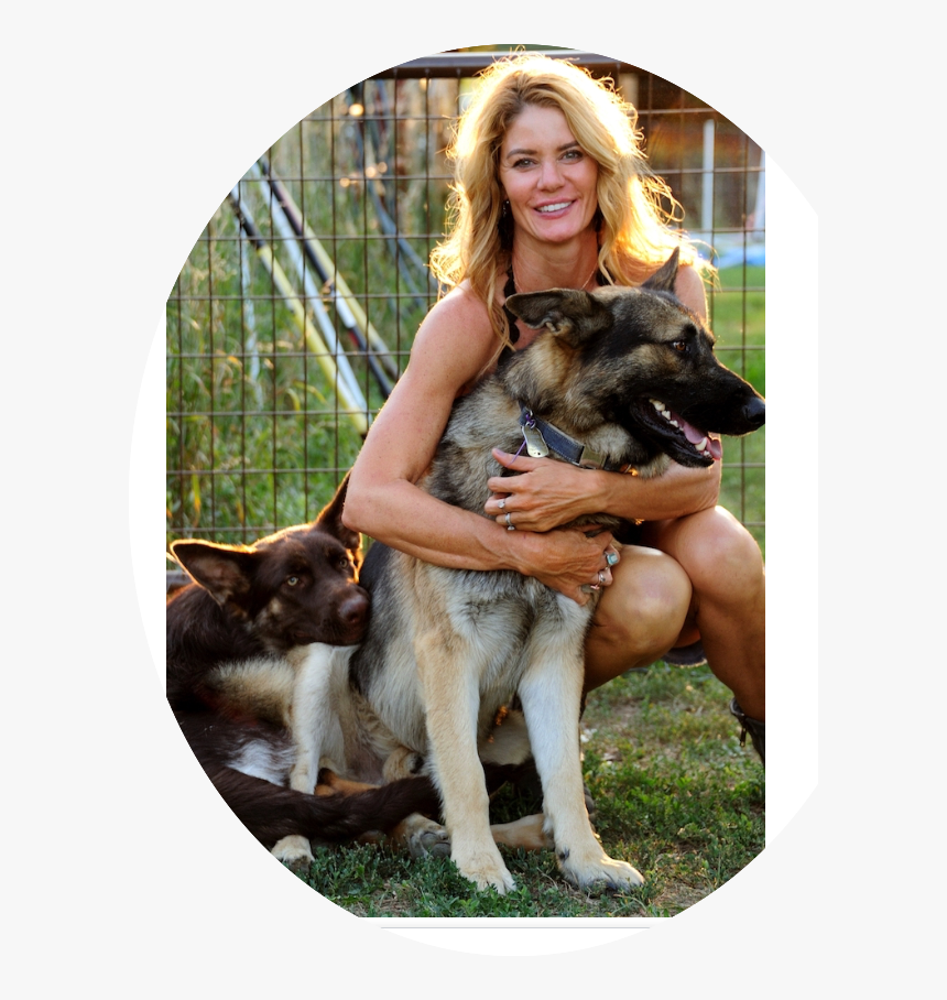 Penny1 - Old German Shepherd Dog, HD Png Download, Free Download